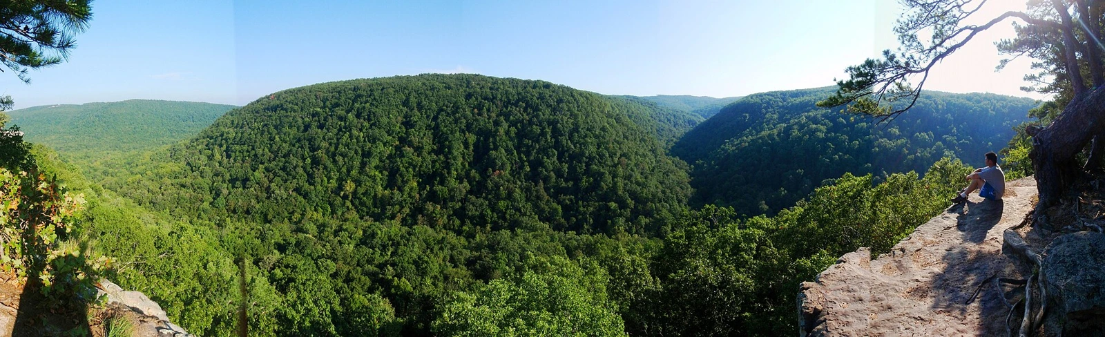 Arkansas landscape