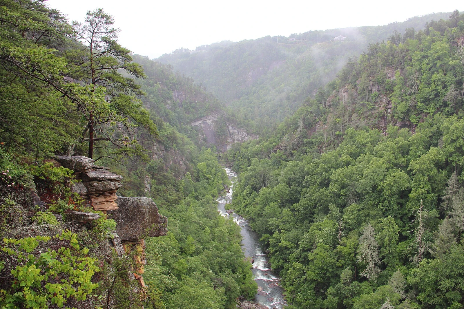 Georgia landscape