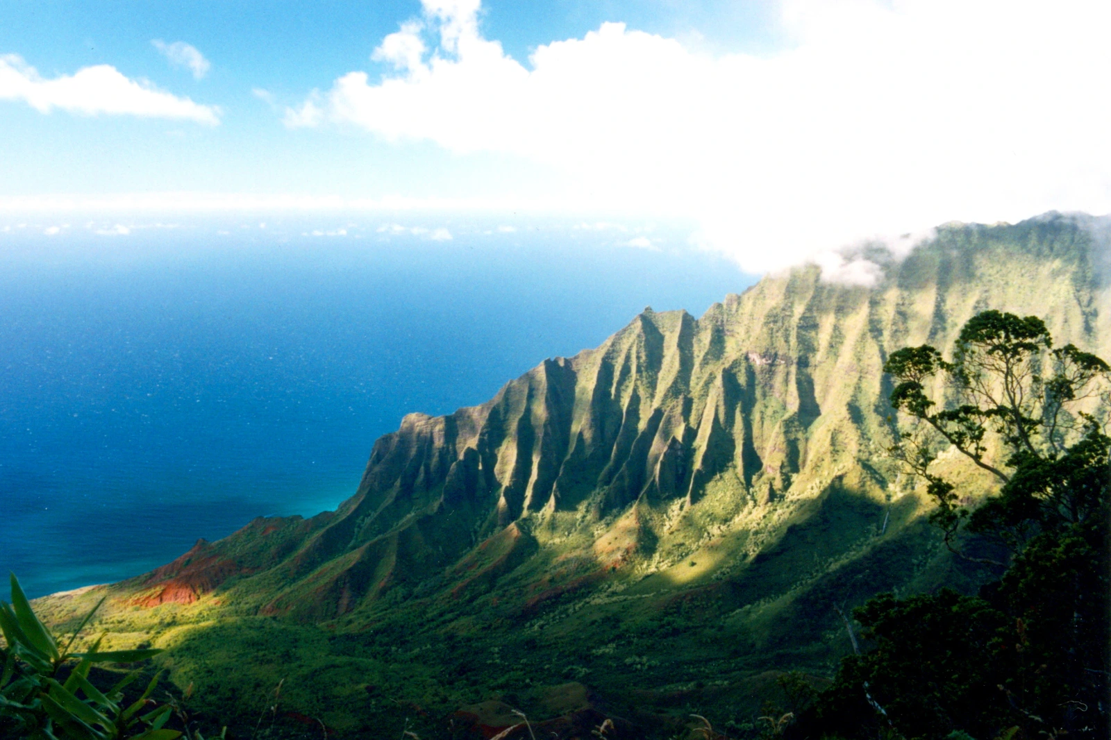Hawaii landscape