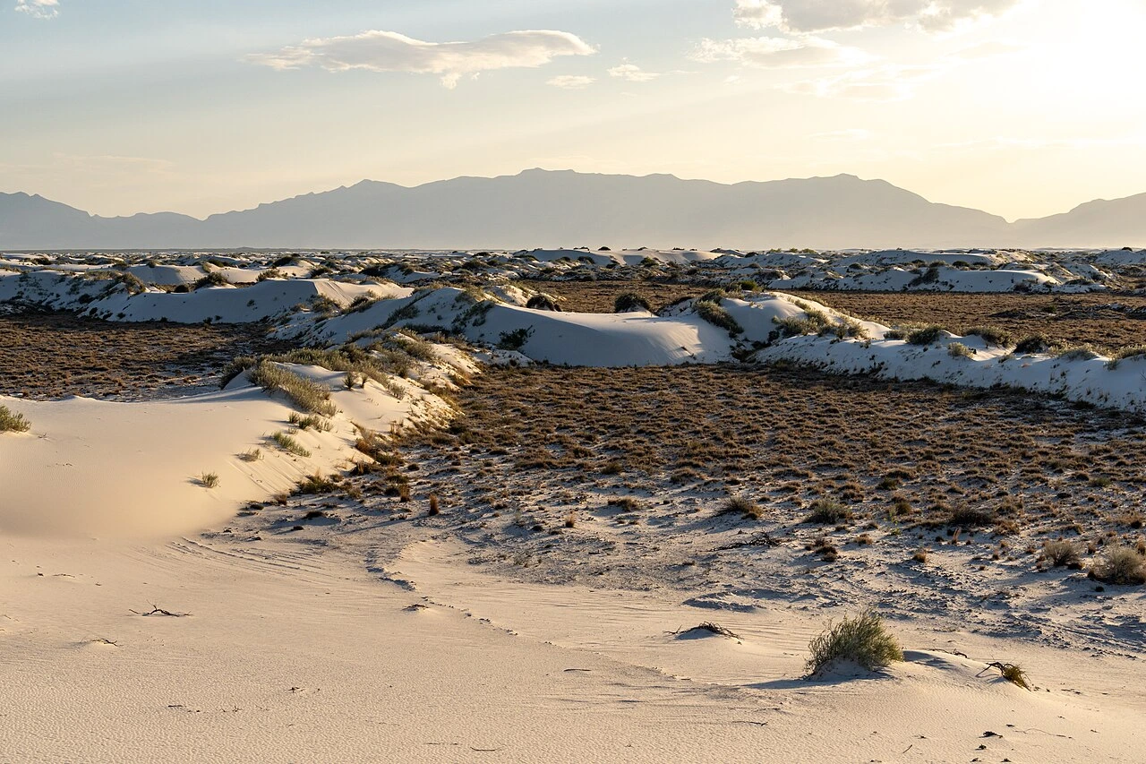 New Mexico landscape