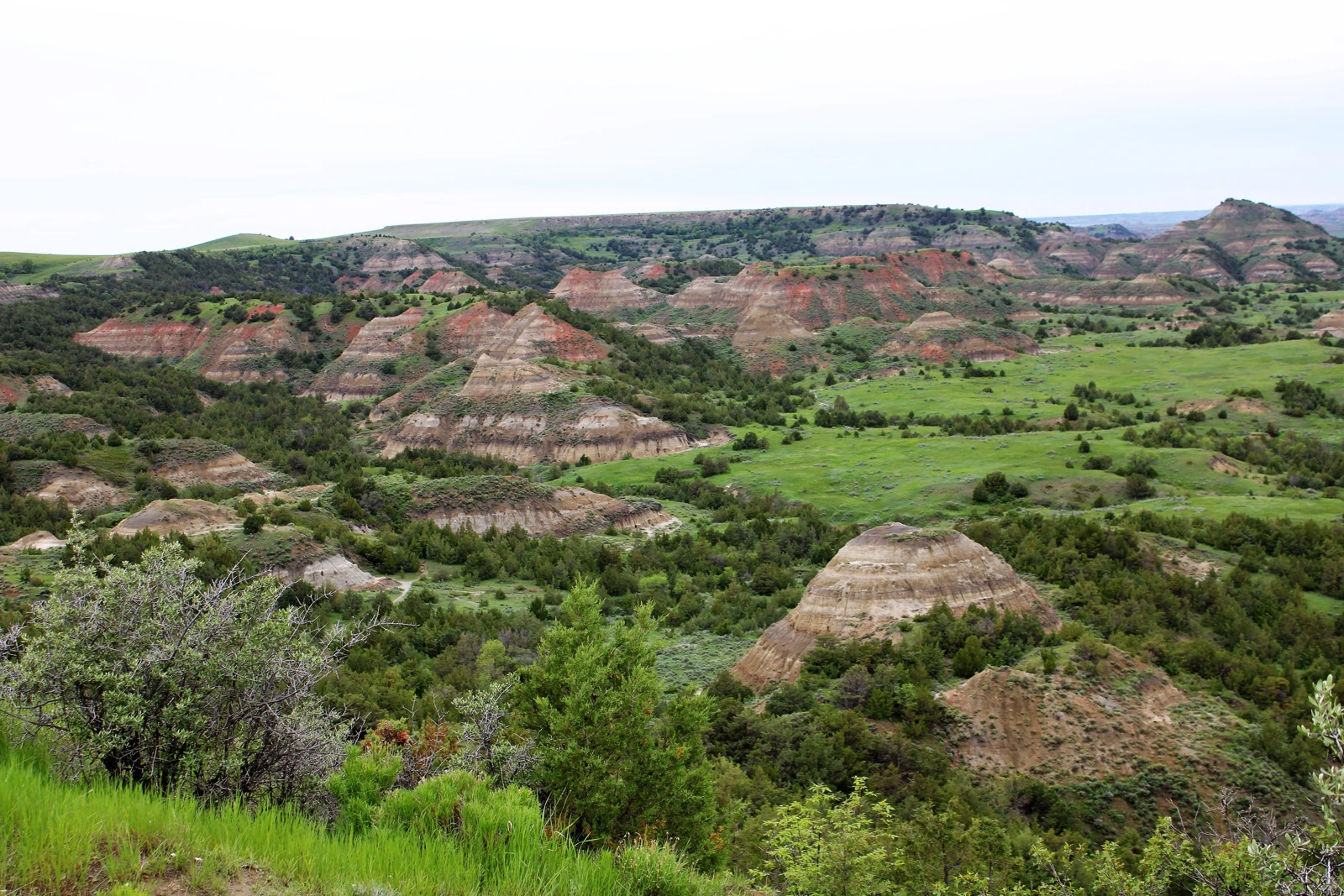 North Dakota landscape